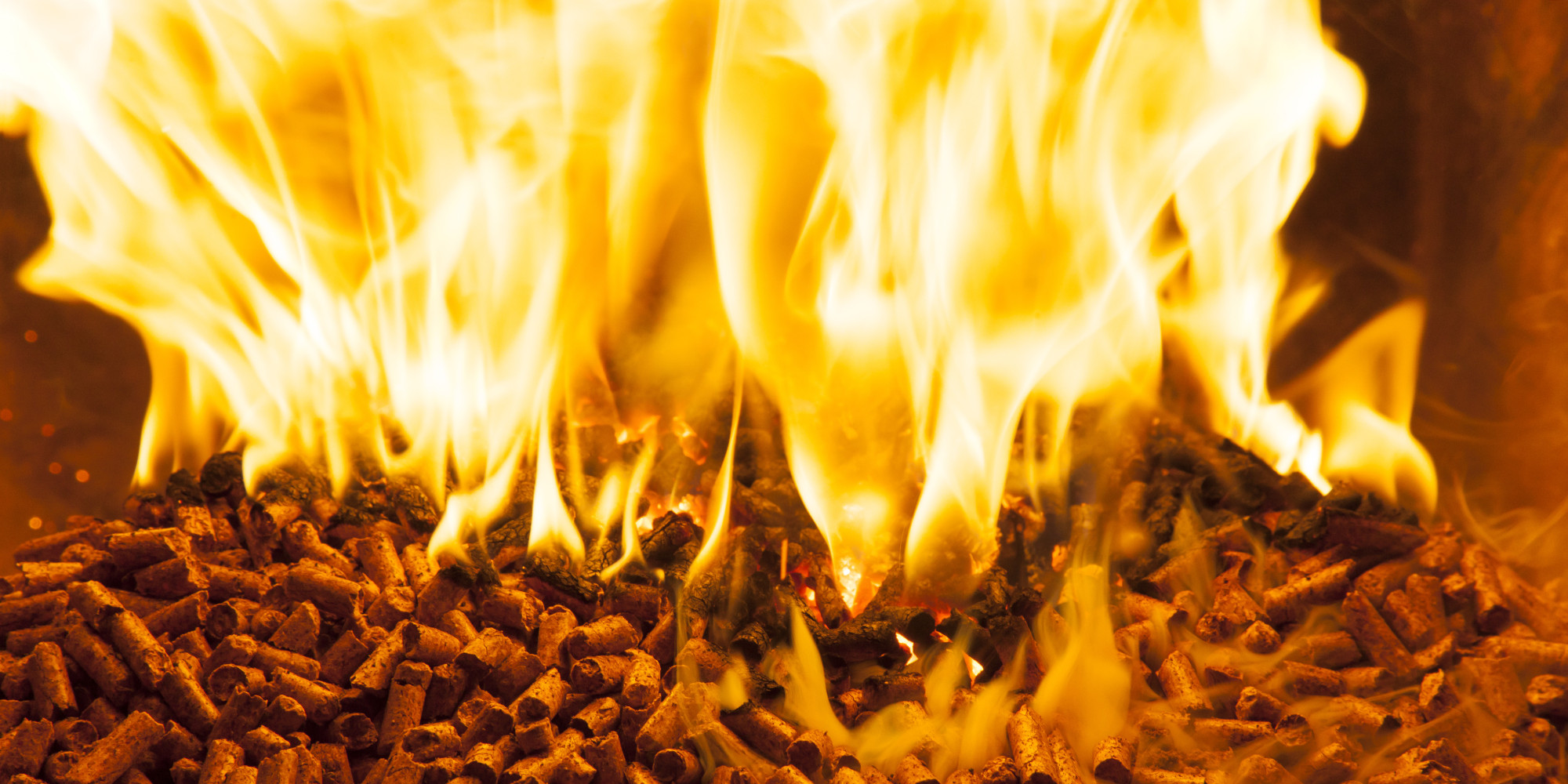 Продукты сжигания топлива. Горение топлива. Сжигание биомассы. Горение биомассы. Сжигание биотоплива.